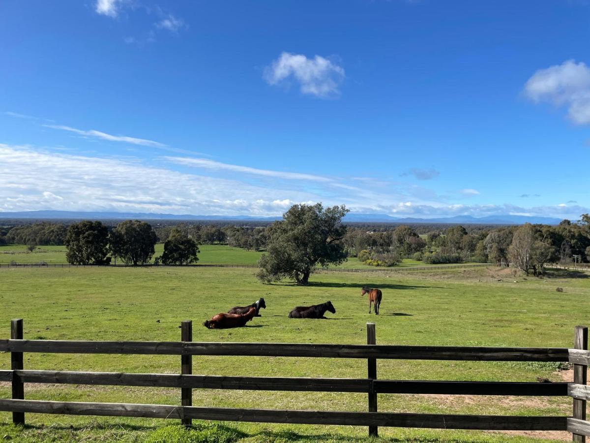 Warby Cottage Wangaratta Esterno foto