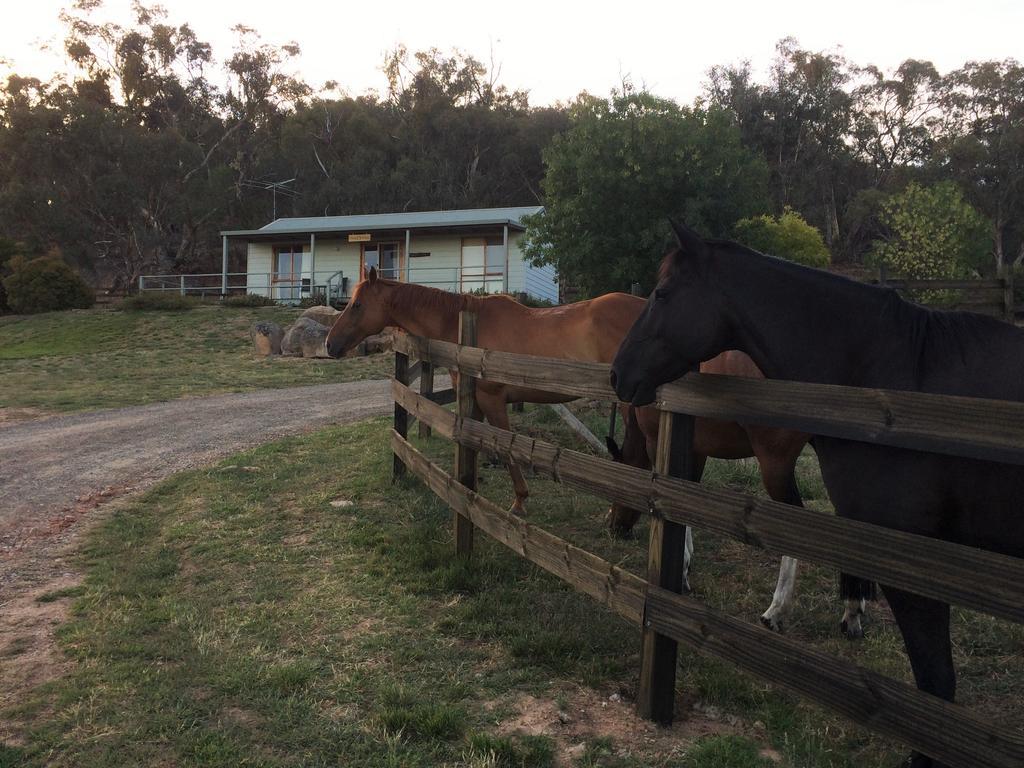Warby Cottage Wangaratta Esterno foto
