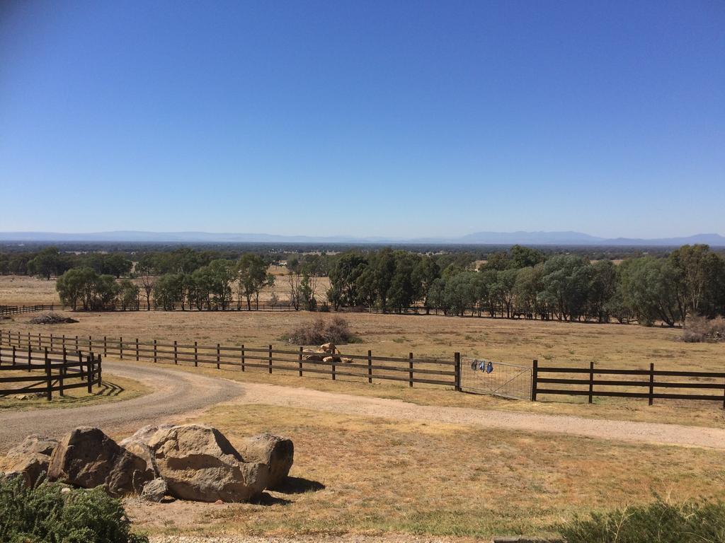 Warby Cottage Wangaratta Esterno foto